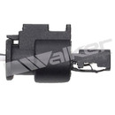 Walker Products Exhaust Gas Temperature (EGT) Sensor 273-10443 - view 4