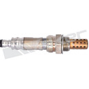 Walker Products Oxygen Sensor 250-24012 - view 2
