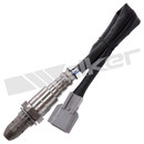 Walker Products Oxygen Sensor 350-64143
