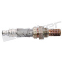 Walker Products Oxygen Sensor 250-24344 - view 7