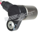 Walker Products Engine Crankshaft Position Sensor 235-1681 - view 4