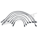 Walker Products Spark Plug Wire Set 924-1281 - view 2