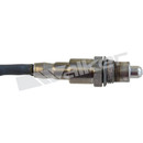 Walker Products Oxygen Sensor 350-34684 - view 5