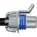 Walker Products Oxygen Sensor 350-34218 - view 3