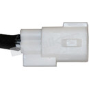 Walker Products Oxygen Sensor 350-34574 - view 8