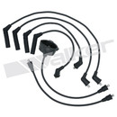 Walker Products Spark Plug Wire Set 924-1116 - view 2