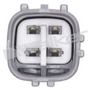 Walker Products Oxygen Sensor 250-241099 - view 4