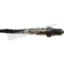 Walker Products Oxygen Sensor 250-25109 - view 7