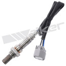 Walker Products Oxygen Sensor 250-54018 - view 5