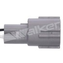 Walker Products Oxygen Sensor 250-24277 - view 7