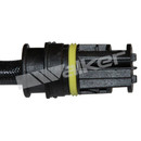 Walker Products Oxygen Sensor 350-34220 - view 4