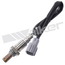 Walker Products Oxygen Sensor 350-64081 - view 5