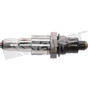 Walker Products Oxygen Sensor 250-241231 - view 2