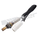 Walker Products Oxygen Sensor 250-24091