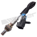 Walker Products Oxygen Sensor 250-24018