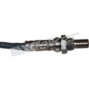 Walker Products Oxygen Sensor 350-34486 - view 6