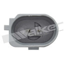 Walker Products Engine Oil Pressure Switch 256-1077 - view 4