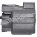Walker Products Oxygen Sensor 250-24446 - view 6