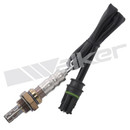 Walker Products Oxygen Sensor 250-24413
