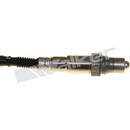 Walker Products Oxygen Sensor 250-25120 - view 2