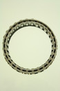 Pioneer Automotive Industries Automatic Transmission Sprag Assembly 764023 - view 2