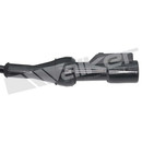 Walker Products ABS Wheel Speed Sensor 241-1258 - view 3