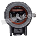 Walker Products ABS Wheel Speed Sensor 241-1056 - view 3