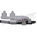 Walker Products ABS Wheel Speed Sensor 241-1195 - view 8