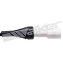 Walker Products ABS Wheel Speed Sensor 241-1053 - view 4