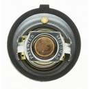 Motorad Engine Coolant Thermostat 7340-195 - view 4
