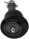 Dorman - OE Solutions Alignment Caster / Camber Ball Joint 539-948 - view 4