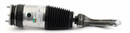 Arnott Industries Air Suspension Strut AS-3751