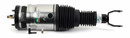 Arnott Industries Air Suspension Strut AS-3618