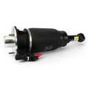 Arnott Industries Air Suspension Strut AS-3461 - view 3