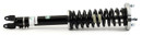 Arnott Industries Suspension Strut and Coil Spring Assembly SK-3601 - view 4