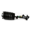 Arnott Industries Air Suspension Strut AS-3894
