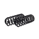 Arnott Industries Air Spring to Coil Spring Conversion Kit C-2988 - view 2