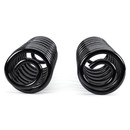 Arnott Industries Air Spring to Coil Spring Conversion Kit C-2988 - view 4