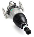 Arnott Industries Air Suspension Strut AS-3166 - view 2