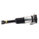 Arnott Industries Air Suspension Strut AS-2966