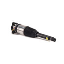 Arnott Industries Air Suspension Strut AS-2969 - view 3