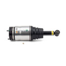 Arnott Industries Air Suspension Strut AS-2534