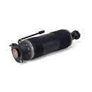 Arnott Industries Suspension Strut SK-2472 - view 3