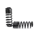 Arnott Industries Air Spring to Coil Spring Conversion Kit C-2607 - view 2