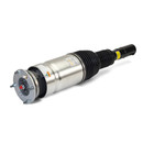 Arnott Industries Air Suspension Strut AS-3204 - view 2