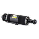 Arnott Industries Suspension Strut SK-2415 - view 6
