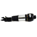 Arnott Industries Air Suspension Strut AS-2300