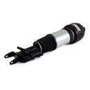 Arnott Industries Air Suspension Strut AS-2300 - view 5