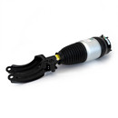 Arnott Industries Air Suspension Strut ASE-4373 - view 3