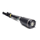 Arnott Industries Air Suspension Strut AS-2450 - view 3